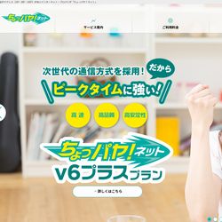 ちょパヤネット